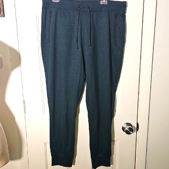American Eagle Outfitters Other - American Eagle‎ Men's Teal Jogger Pants. NWOT.size Large